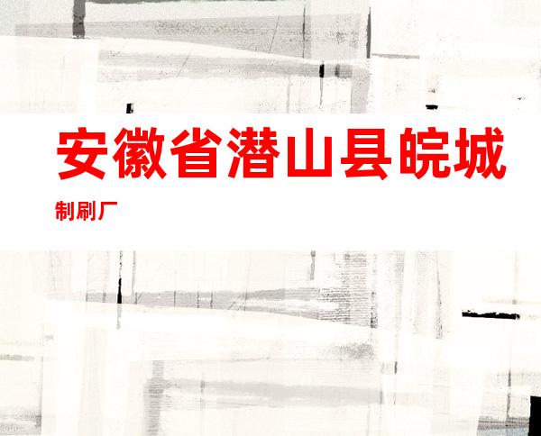 安徽省潜山县皖城制刷厂